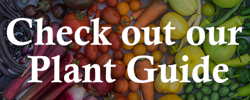 vegetables with text check out our plant guide