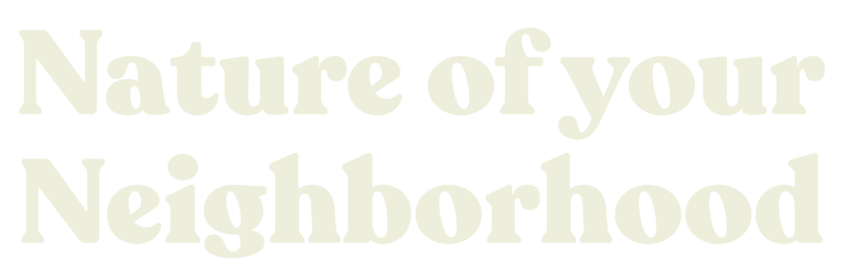 nature of your neighborhood logo